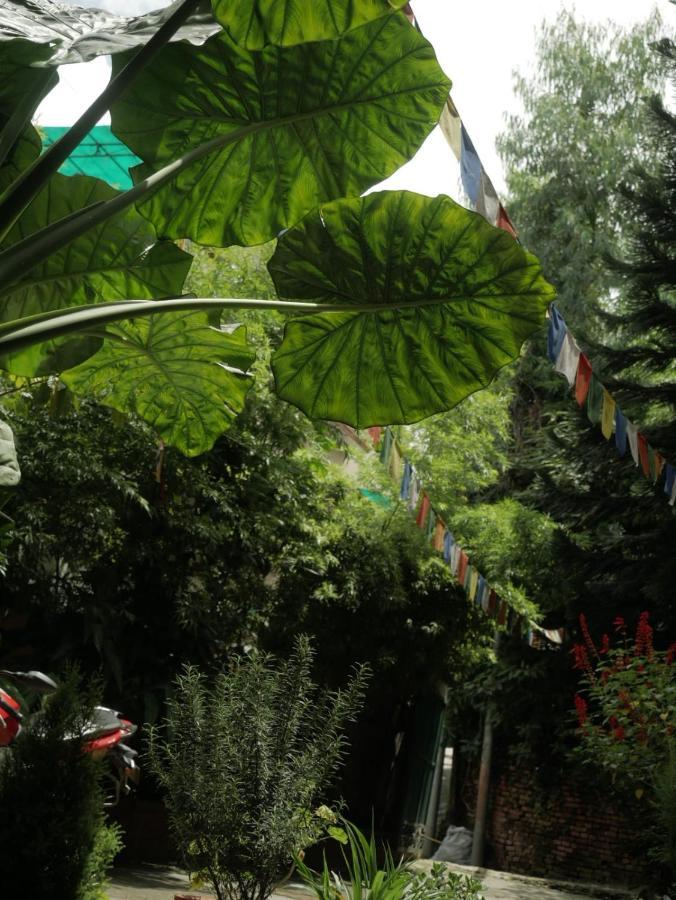 Nirvana Green Peace Home Katmandu Dış mekan fotoğraf