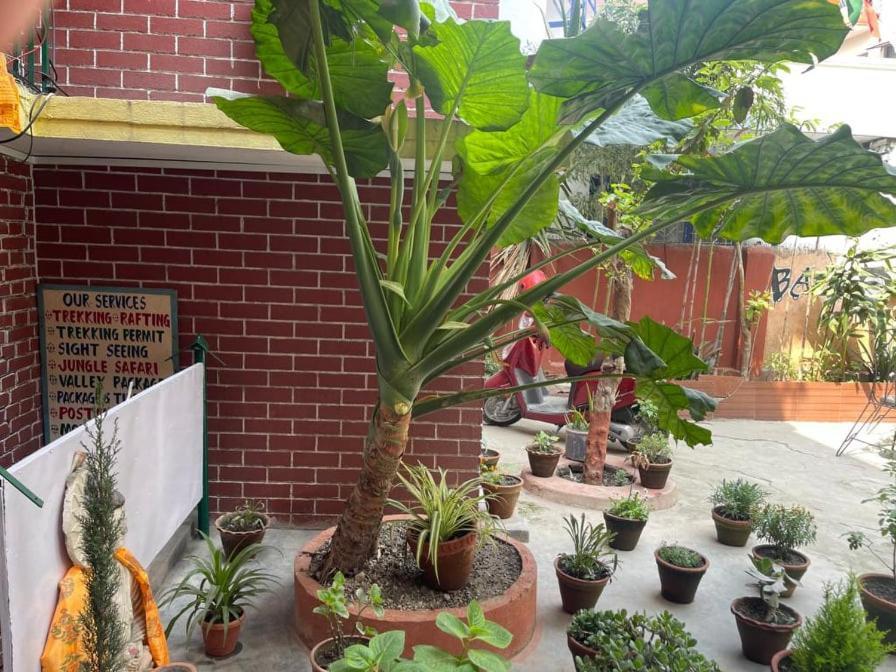 Nirvana Green Peace Home Katmandu Dış mekan fotoğraf