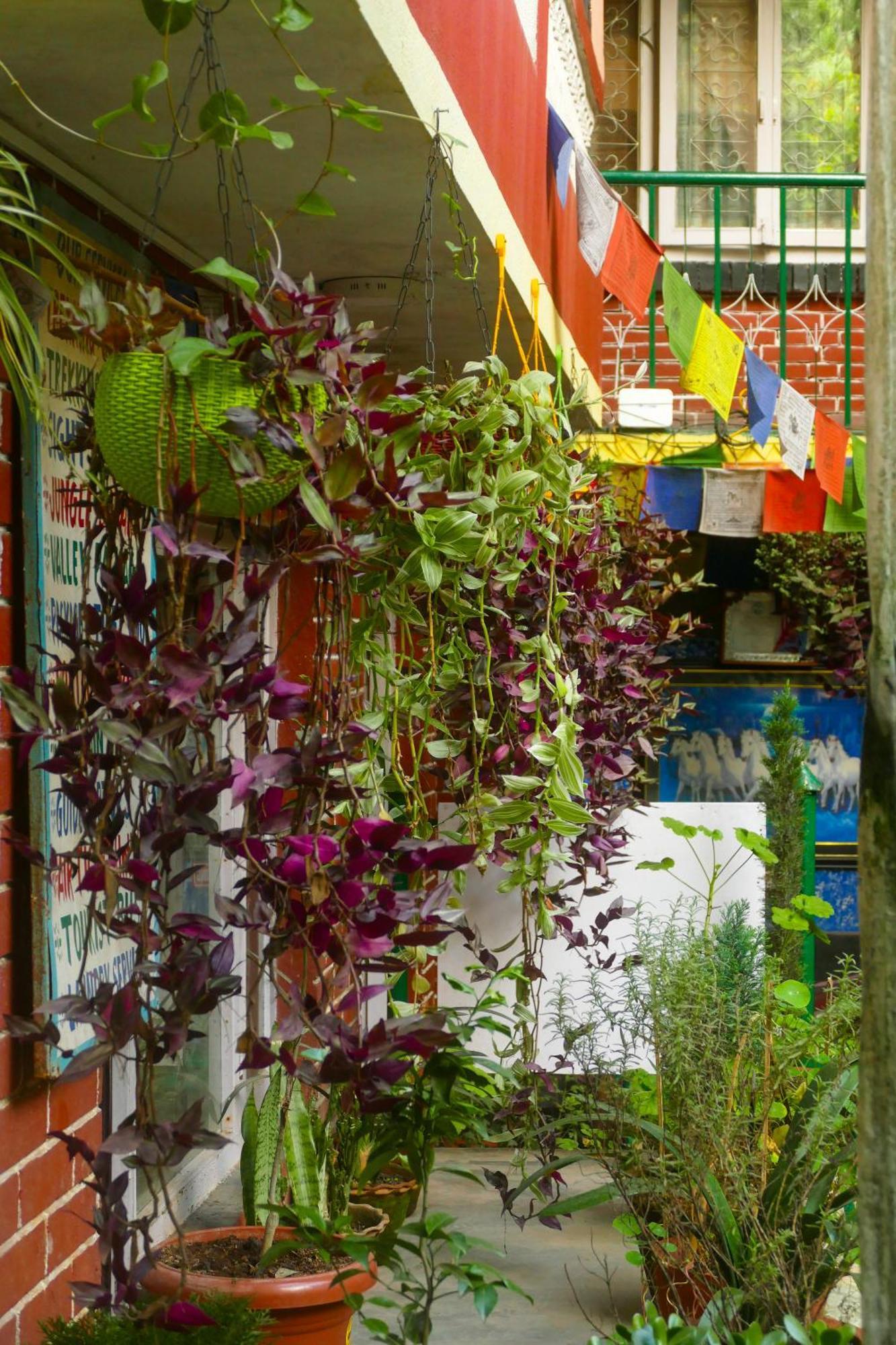 Nirvana Green Peace Home Katmandu Dış mekan fotoğraf