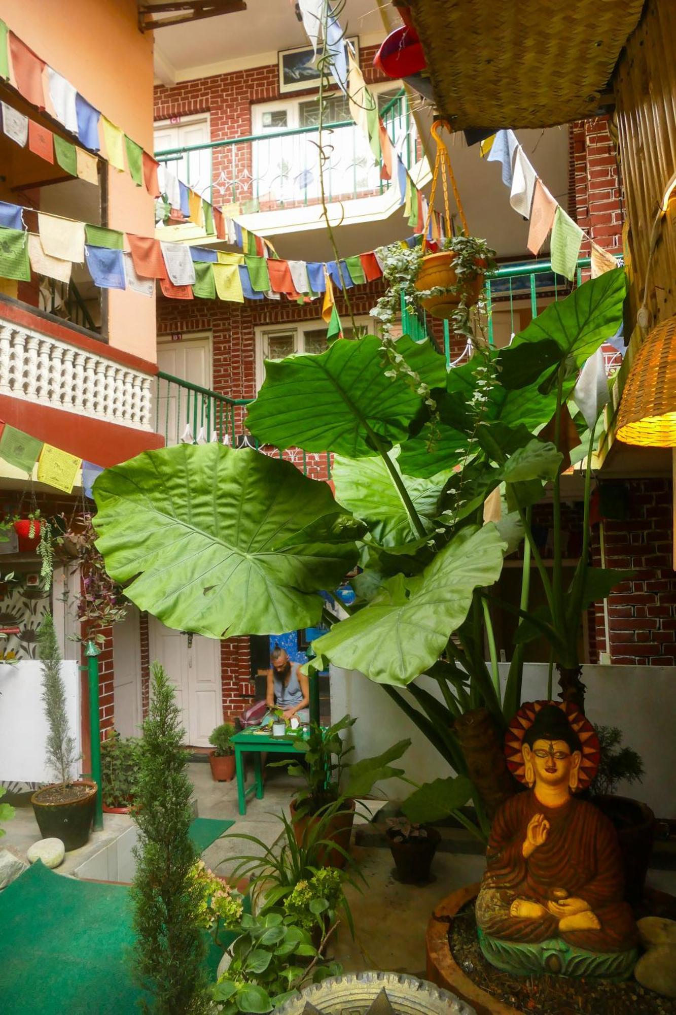 Nirvana Green Peace Home Katmandu Dış mekan fotoğraf