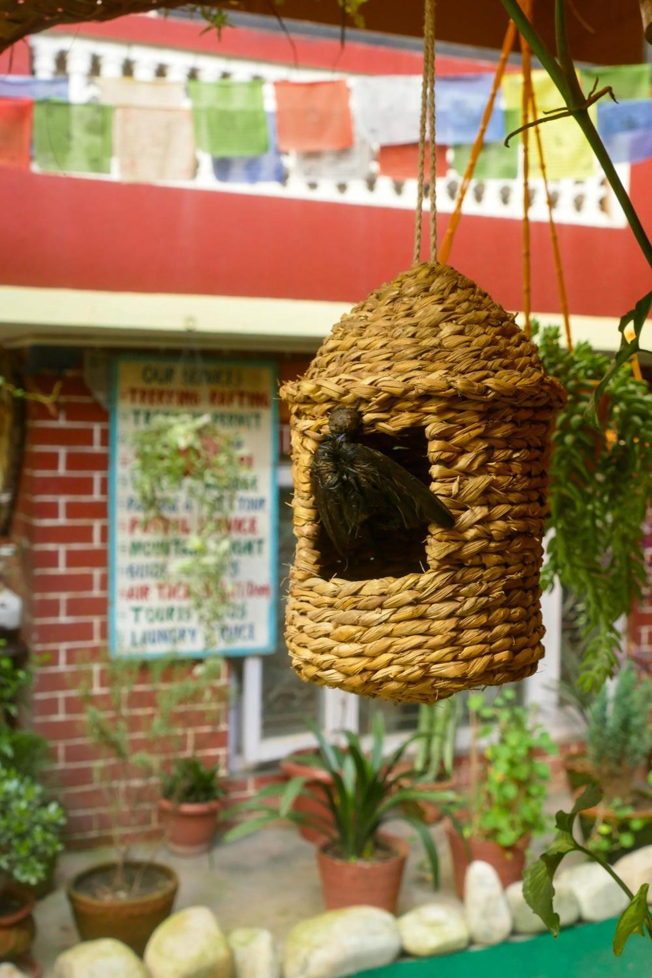 Nirvana Green Peace Home Katmandu Dış mekan fotoğraf